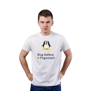 Bloger w biznesie koszulkowym