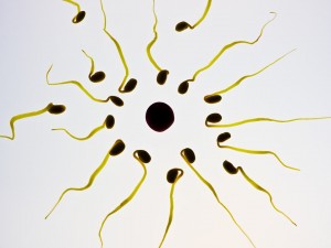Praca z laptopem na kolanach a płodność