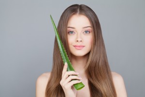 Aloes – łatwo dostępna roślina o wielu zastosowaniach