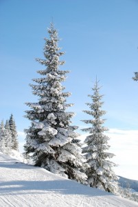 3 pomysły na weekendowy wypad zimą.