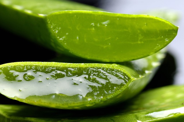 Aloes do picia – poznaj jego dobroczynne działanie